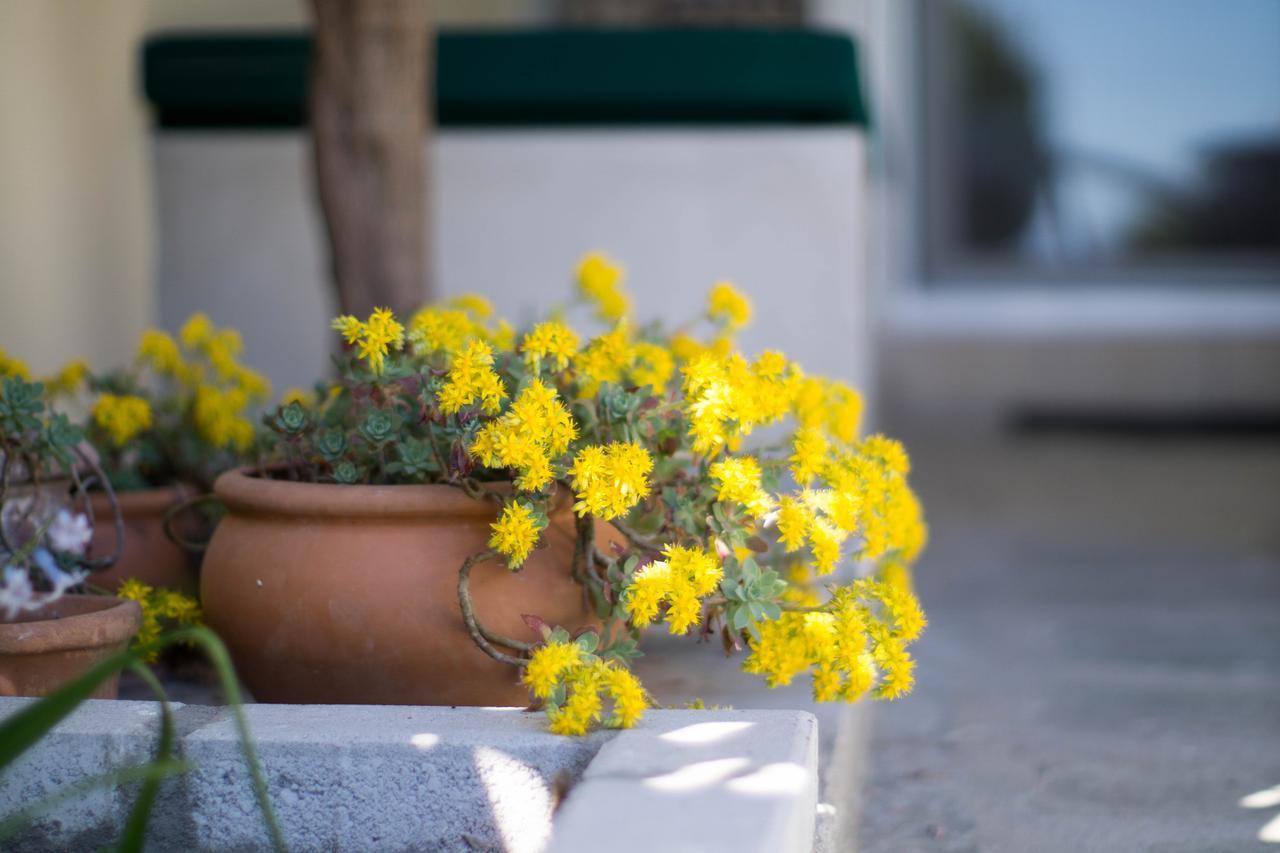 Villa Eirini Nea Iraklitsa Exteriér fotografie